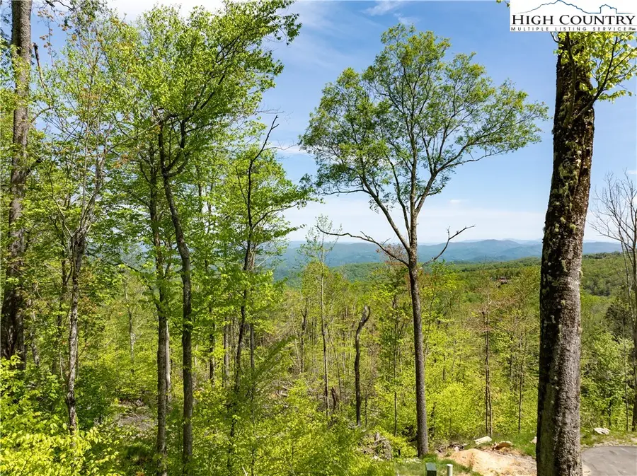 ES76 Lands End Trail, Banner Elk, NC 28604 - #2