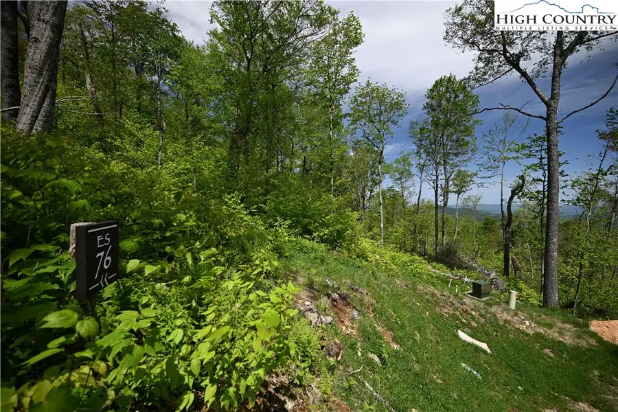 ES76 Lands End Trail, Banner Elk, NC 28604 - #3