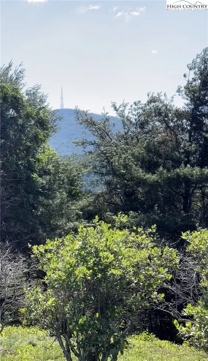 TBD Crestwood Circle, Linville, NC 28646 - #2