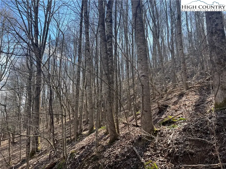 TBD Hart Road, Lansing, NC 28643 - #3