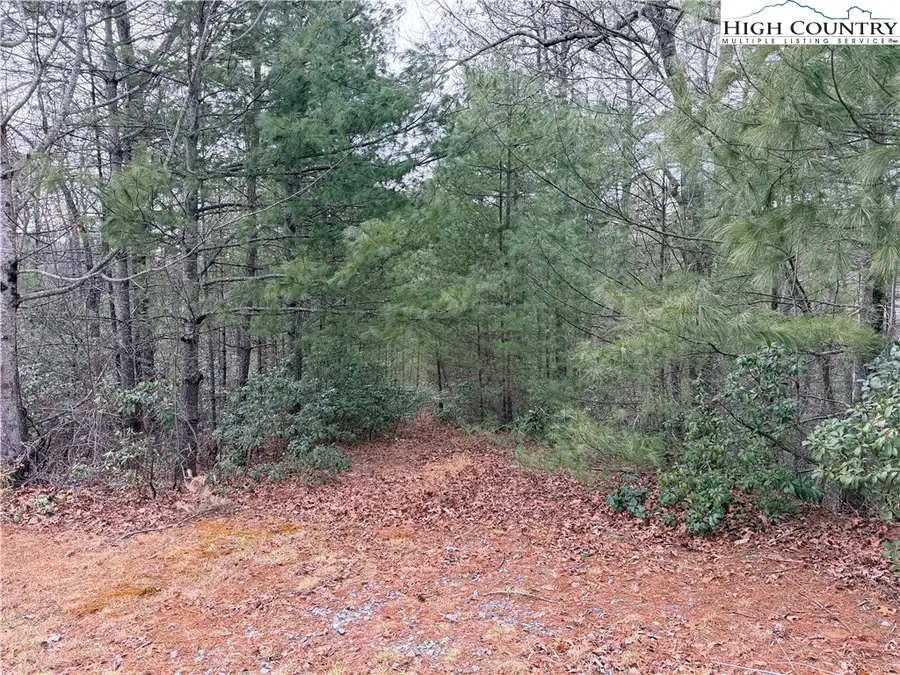 TBD (Lot 4) Wolf Den Lane, Lenoir, NC 28645 - #2