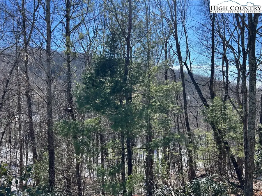 TBD (Lot 4) Wolf Den Lane, Lenoir, NC 28645 - #3