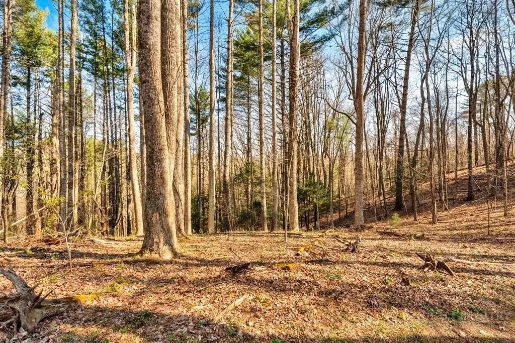 TBD Private Drive, Sugar Grove, NC 28679 - #1