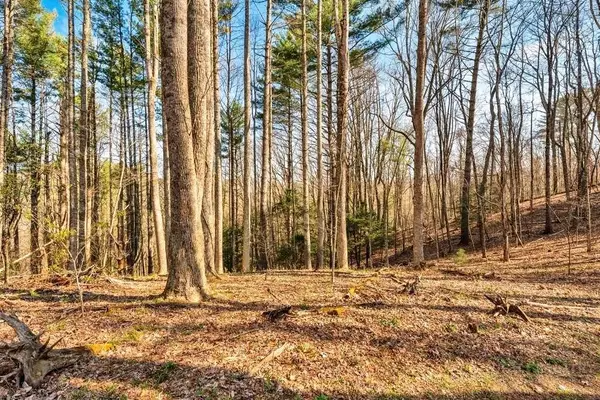 TBD Private Drive, Sugar Grove, NC 28679