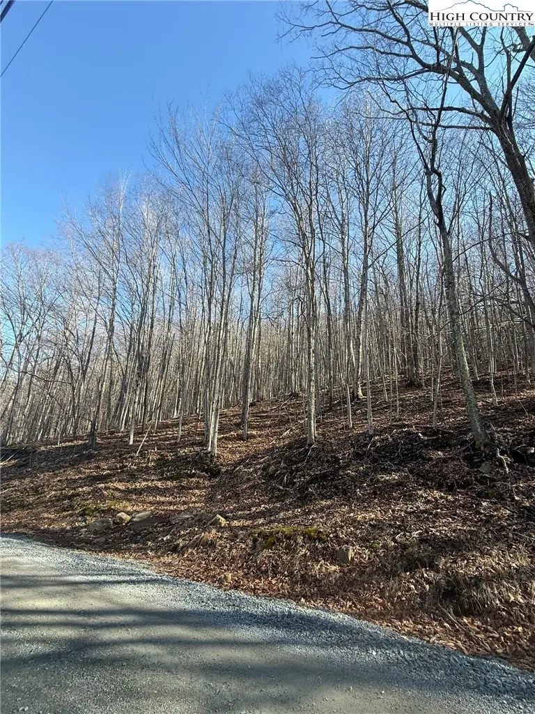 134 Locust Ridge Road, Beech Mountain, NC 28604 - #2