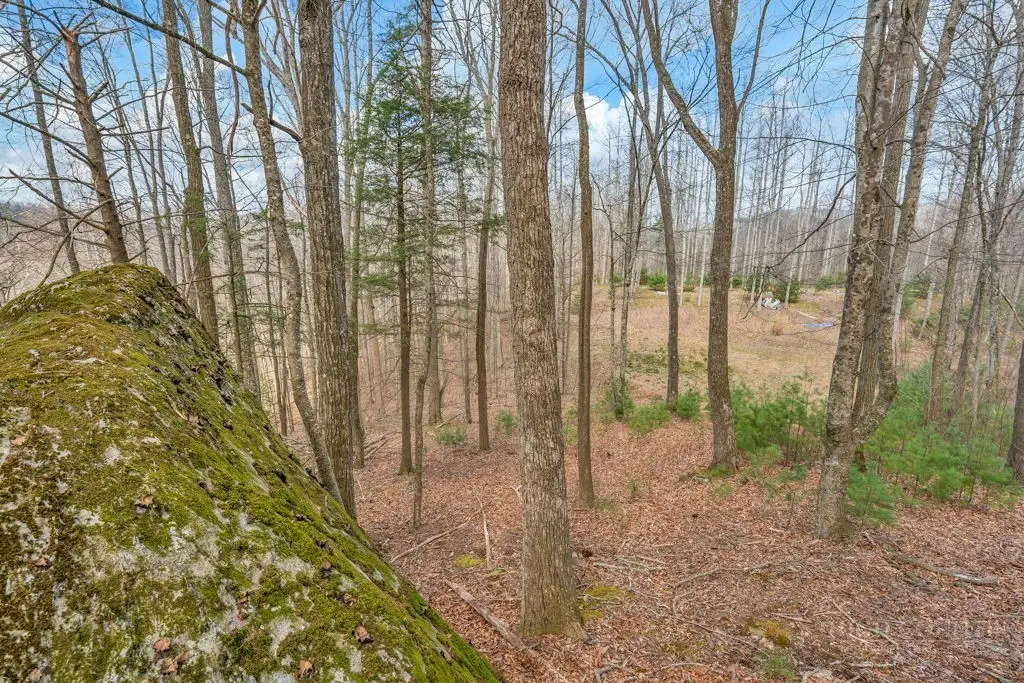 TBD Denney Wood Road, Sugar Grove, NC 28679 - #1