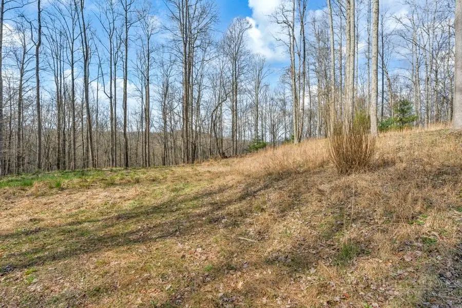 TBD Denney Wood Road, Sugar Grove, NC 28679 - #3