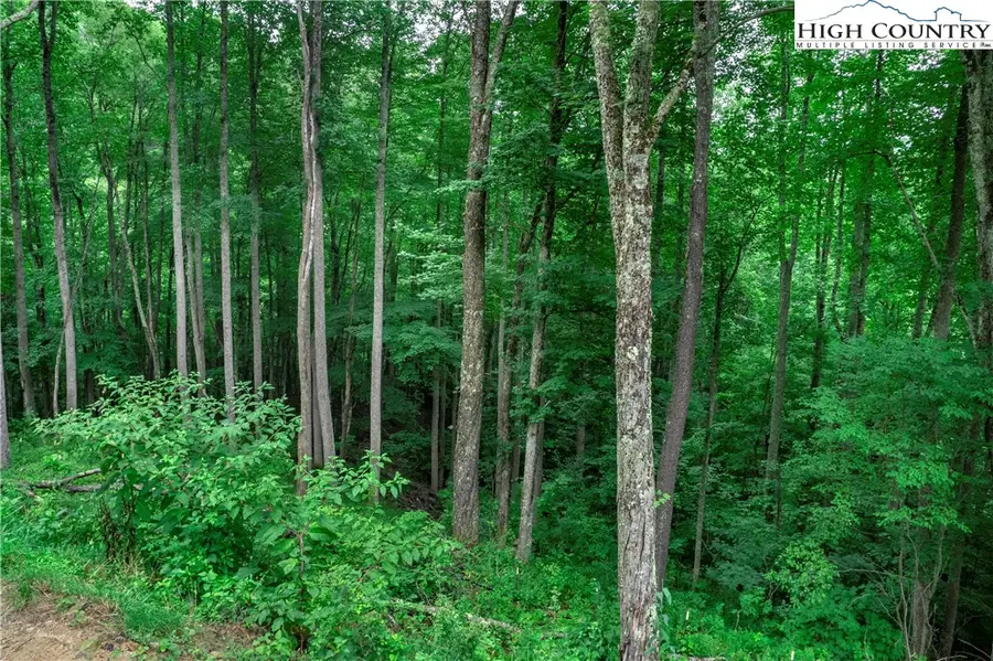 C603 Buffalo Nvno, Zionville, NC 28698 - #2