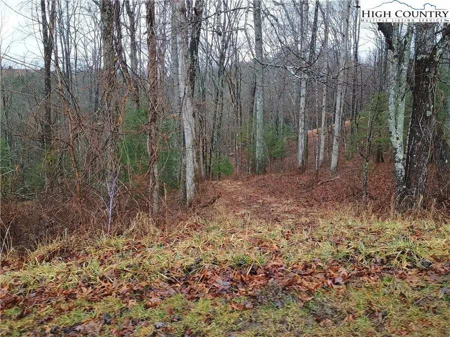 TBD Riverside Drive, Sparta, NC 28675 - #3