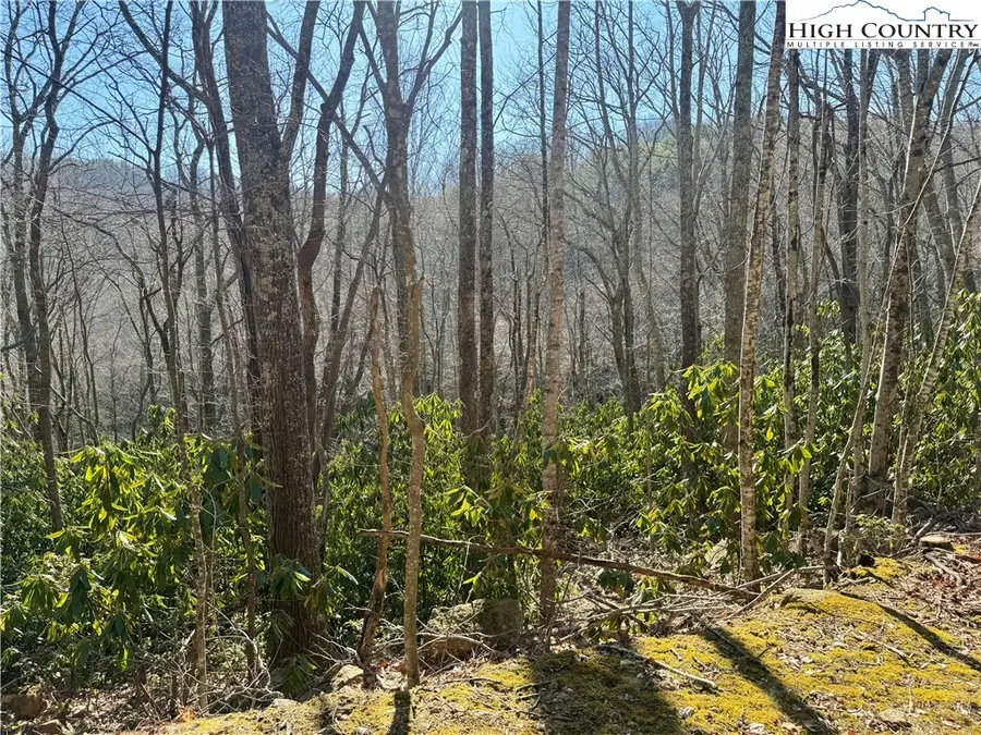 0 Gumtree Road, Beech Mountain, NC 28604 - #2