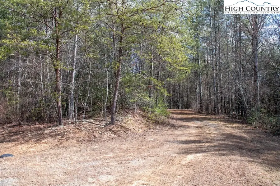 000 Narrow Gauge Drive #22, Johns River, NC 28645 - #2