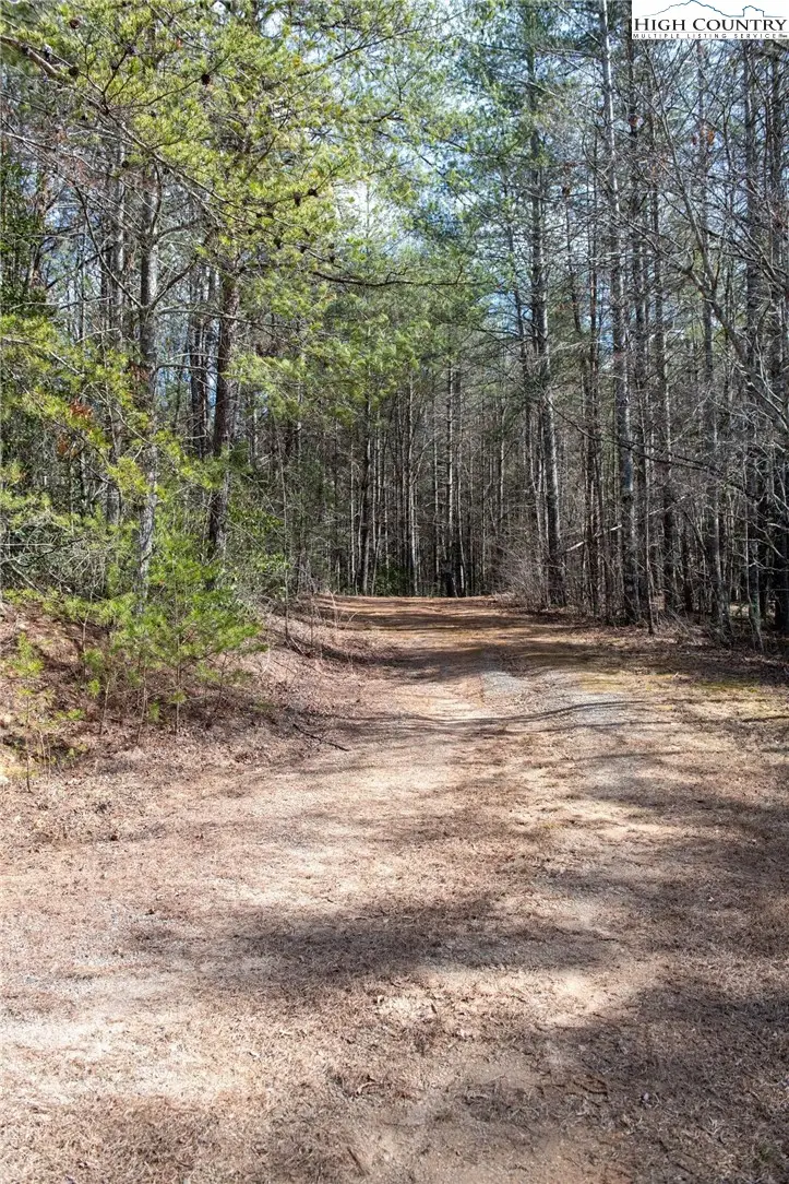 000 Narrow Gauge Drive #22, Johns River, NC 28645 - #3