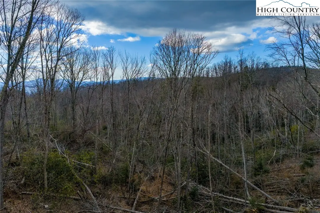 S-103 Talon Trail, Banner Elk, NC 28604 - #1