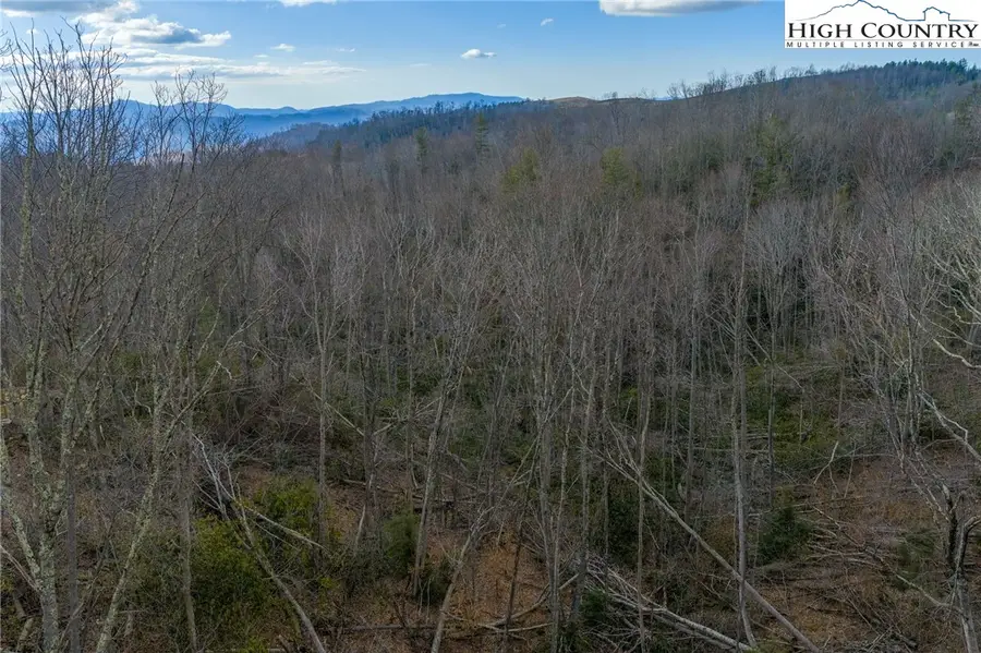 S-103 Talon Trail, Banner Elk, NC 28604 - #2