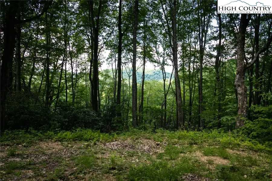 C607 Sugartree Nvno, Zionville, NC 28698 - #2