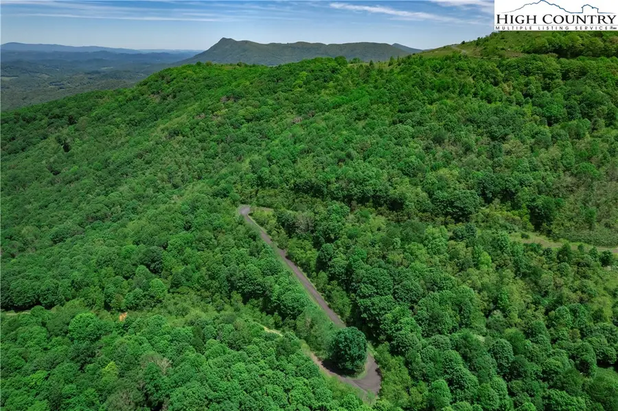 C607 Sugartree Nvno, Zionville, NC 28698 - #3