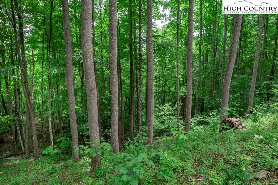 C610 High Mountain Nvno, Zionville, NC 28698 - #2