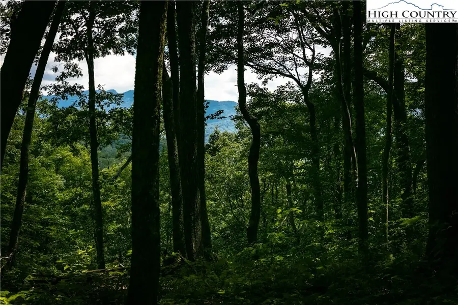 C611 Sugartree Nvno, Zionville, NC 28698 - #2