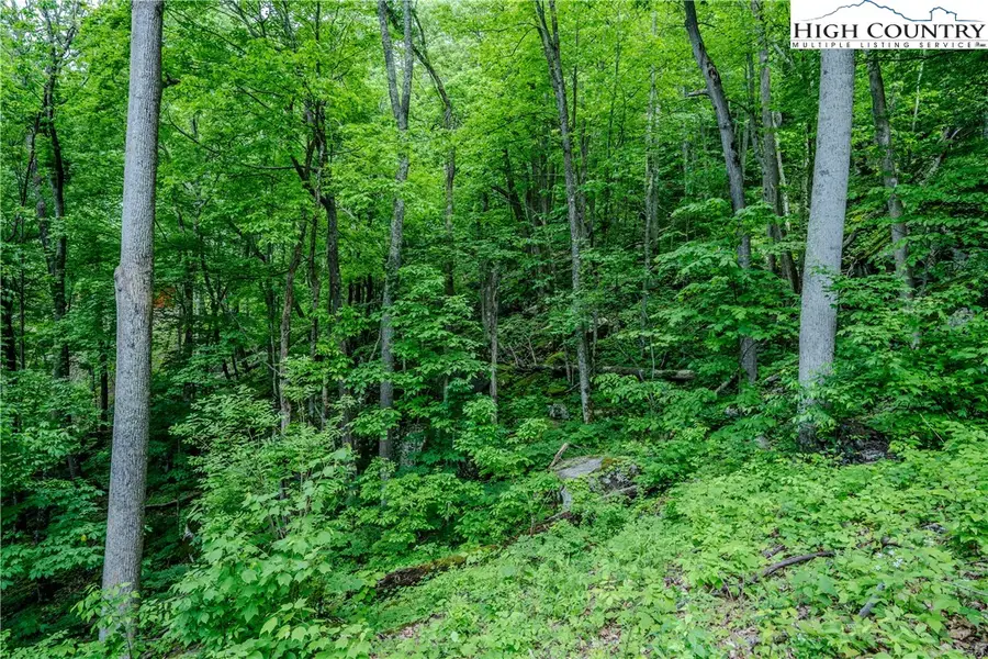 C612 Sugartree Nvno, Zionville, NC 28698 - #2