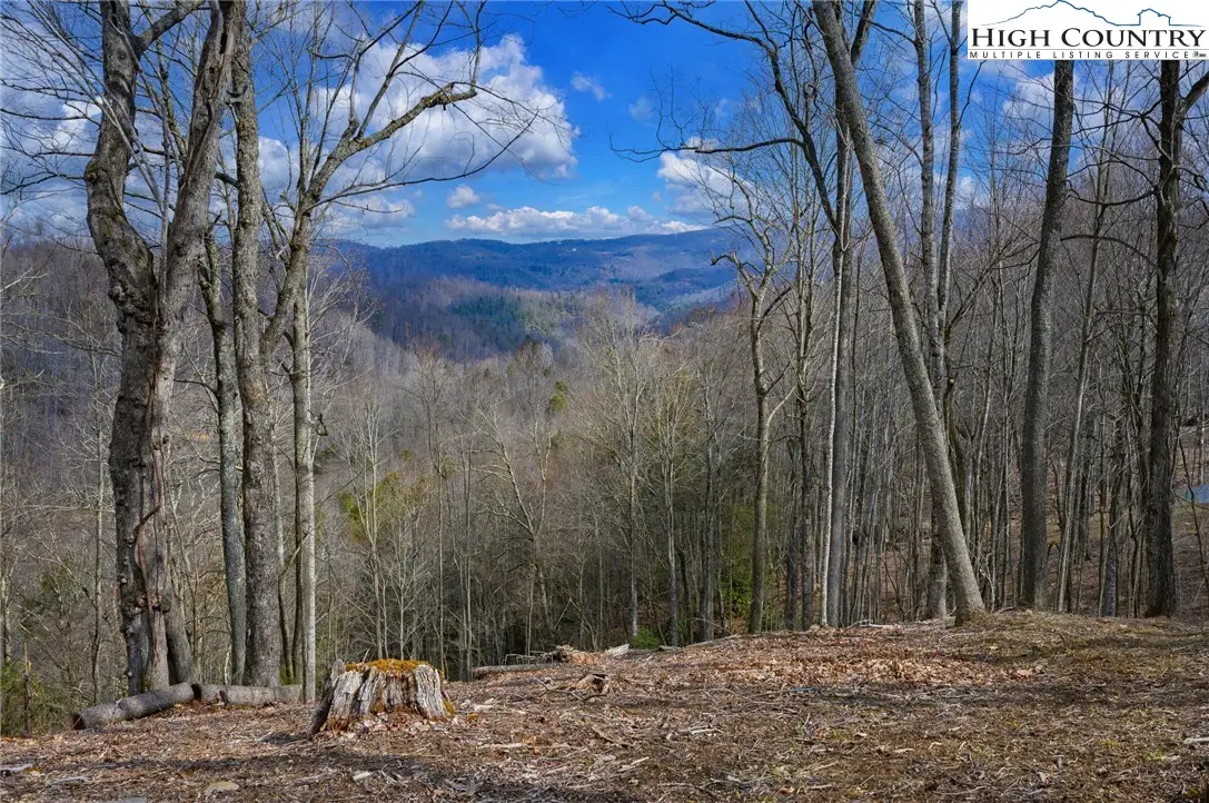 TBD Raspberry Lane, Elk Park, NC 28622 - #1