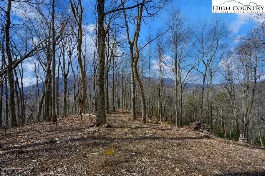 TBD Raspberry Lane, Elk Park, NC 28622 - #2