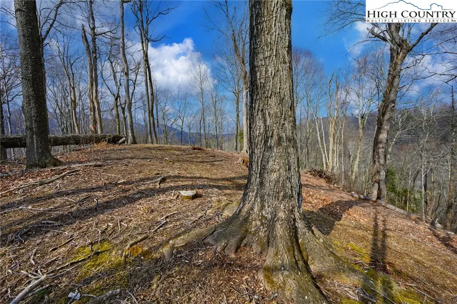 TBD Raspberry Lane, Elk Park, NC 28622 - #3