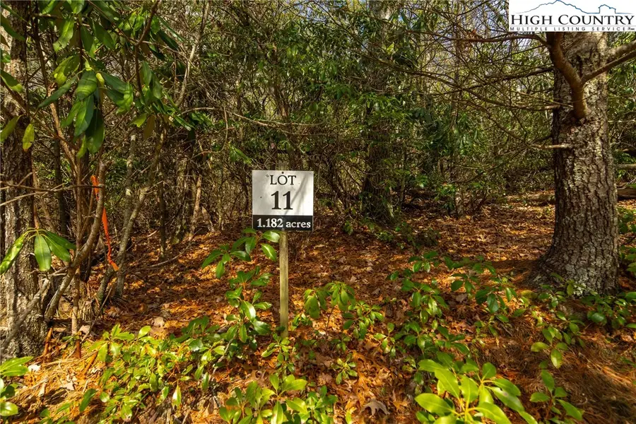 Lot 11 Forever Drive, Fleetwood, NC 28626 - #2