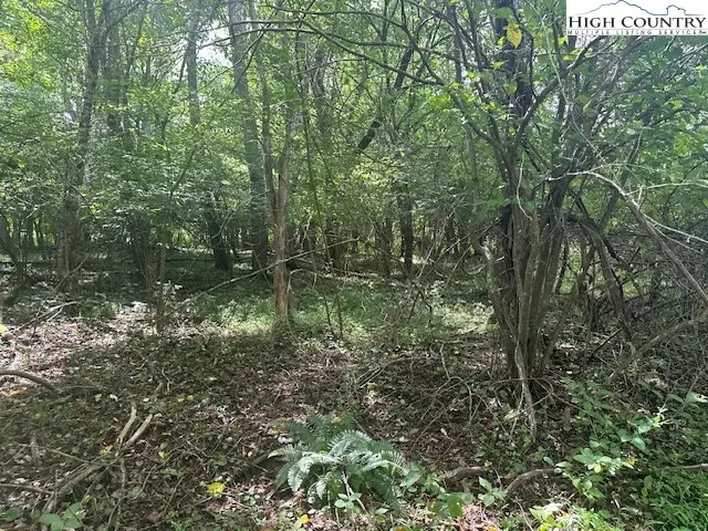 Lot 41 Riverwind Drive, Lansing, NC 28643 - #2