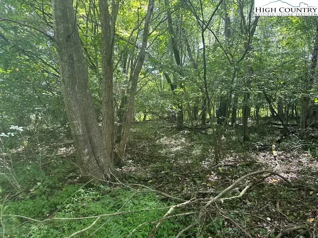 Lot 41 Riverwind Drive, Lansing, NC 28643 - #3