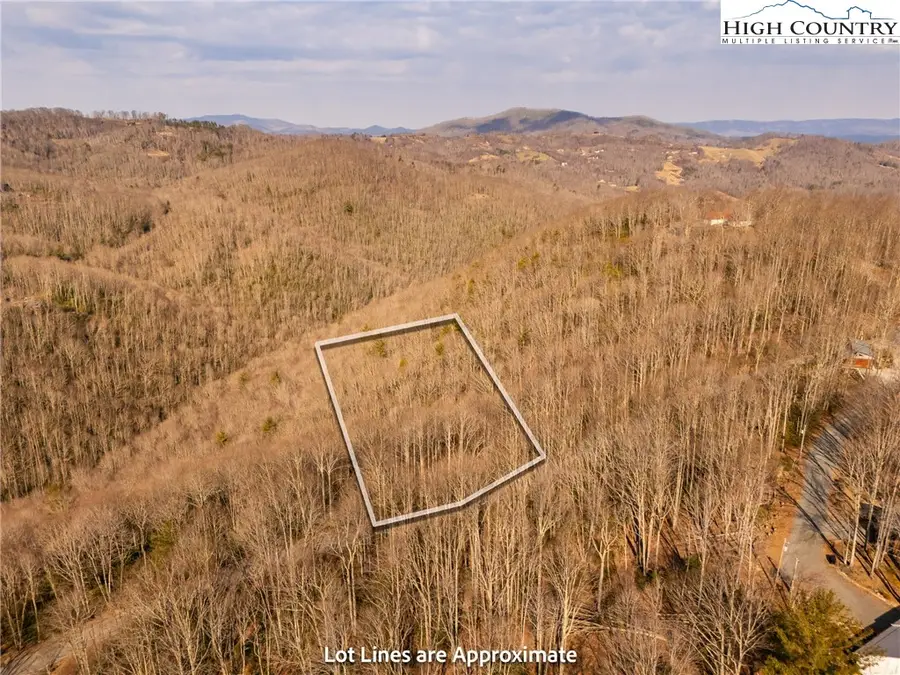 1122 Pine Ridge Road, Beech Mountain, NC 28604 - #3