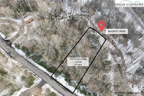 543 Pinnacle Ridge Road, Beech Mountain, NC 28604
