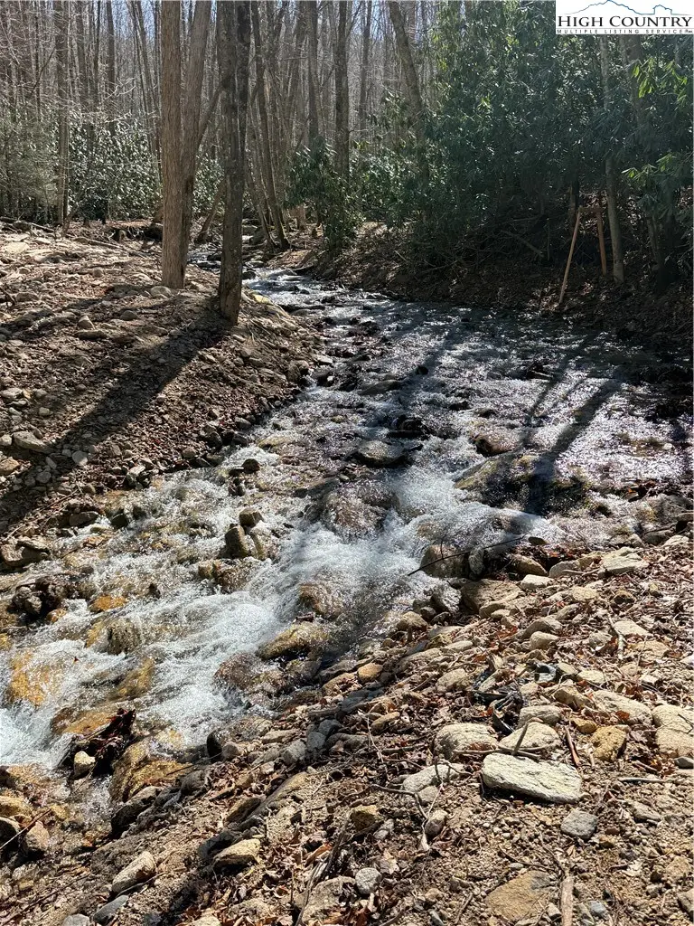 543 Pinnacle Ridge Road, Beech Mountain, NC 28604 - #2