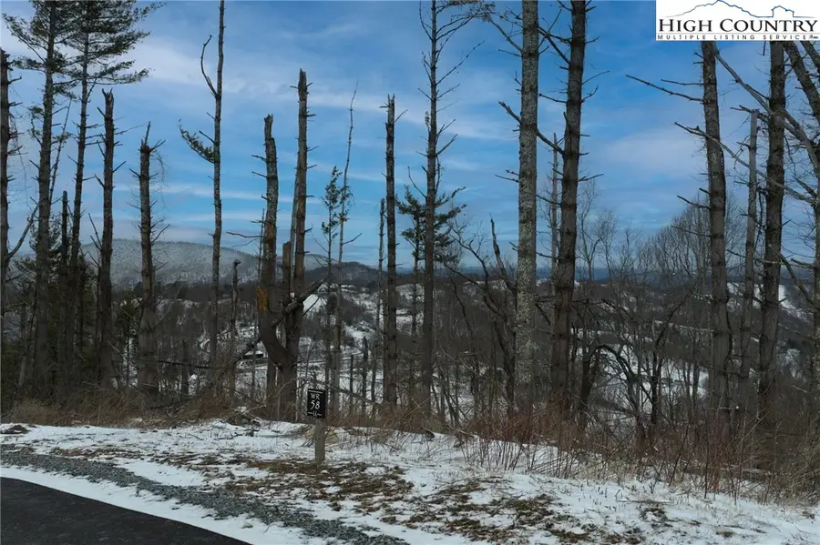 WR58 Clouds Rest Drive, Elk Park, NC 28622 - #2