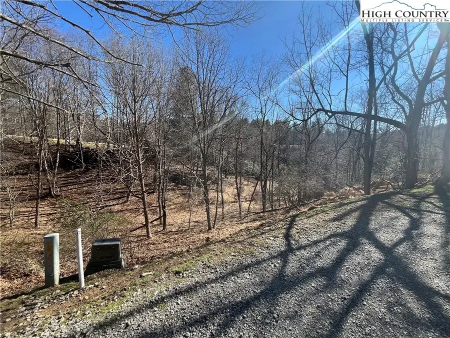 Lot#42 Isabelle Rose Way, Piney Creek, NC 28663 - #3