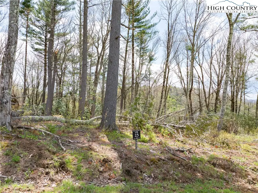VR23 Fernwood Trail, Beech Mountain, NC 28604 - #2