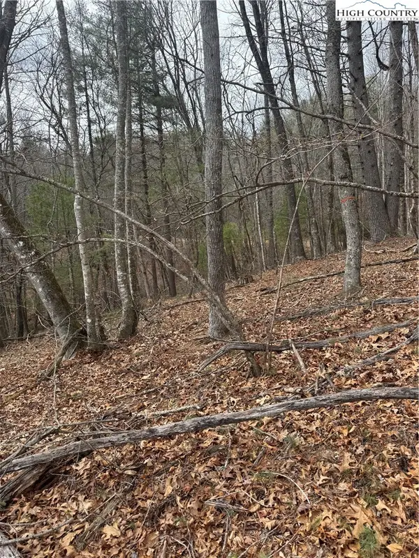 TBD The Peaks Regal Drive, Laurel Springs, NC 28644