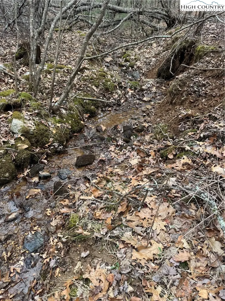 TBD The Peaks Regal Drive, Laurel Springs, NC 28644 - #2