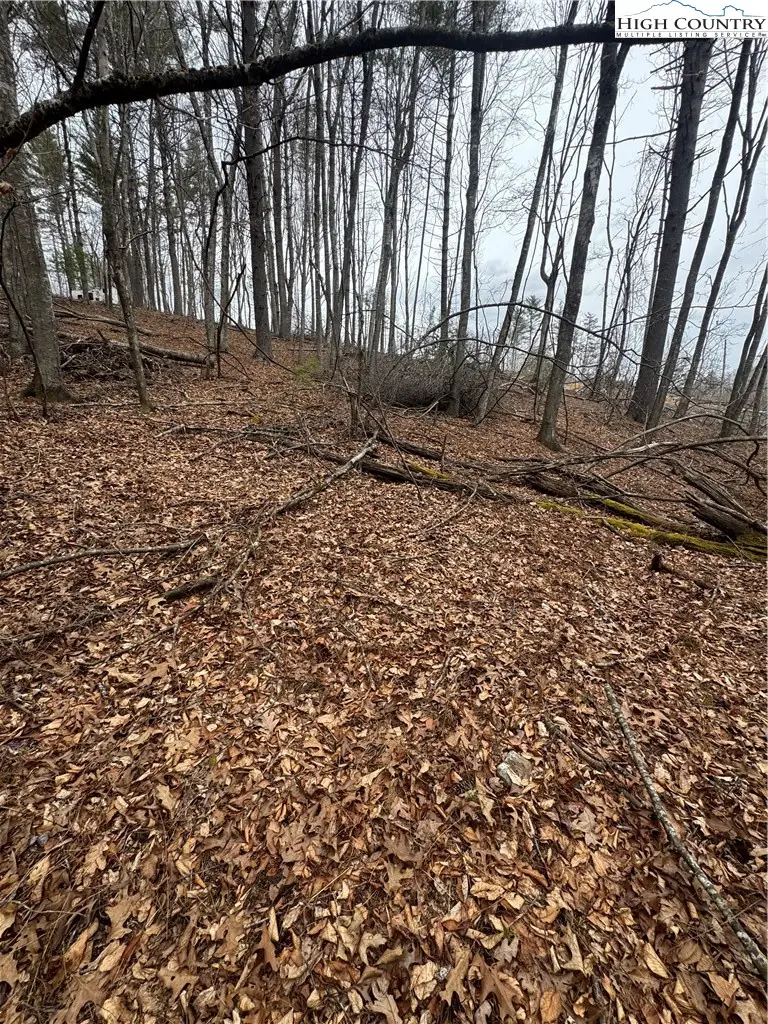 TBD The Peaks Regal Drive, Laurel Springs, NC 28644 - #3