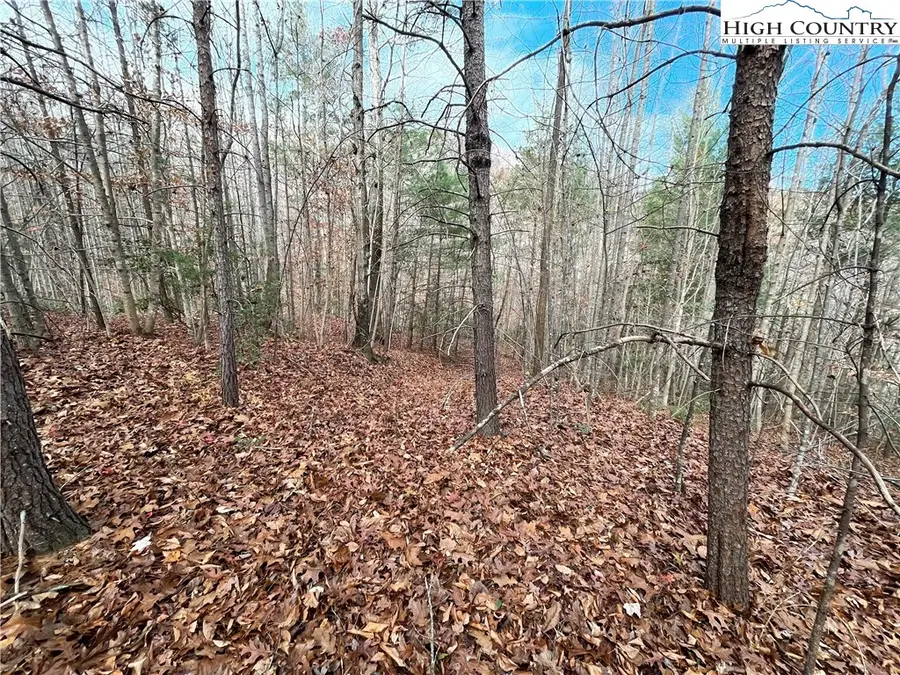 3308 Valley Drive, Lenoir, NC 28645 - #2