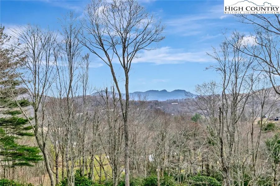 115 Turkey Trail, Sugar Mountain, NC 28604 - #2