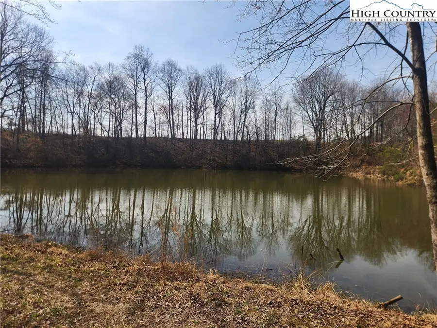 363 Center Church Road, Hiddenite, NC 28636 - #2