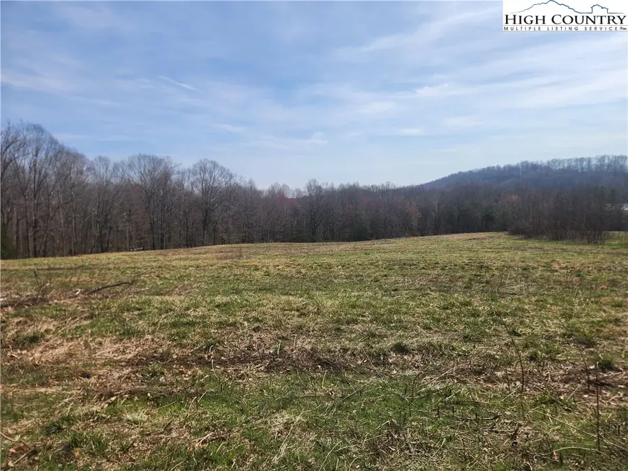 363 Center Church Road, Hiddenite, NC 28636 - #3