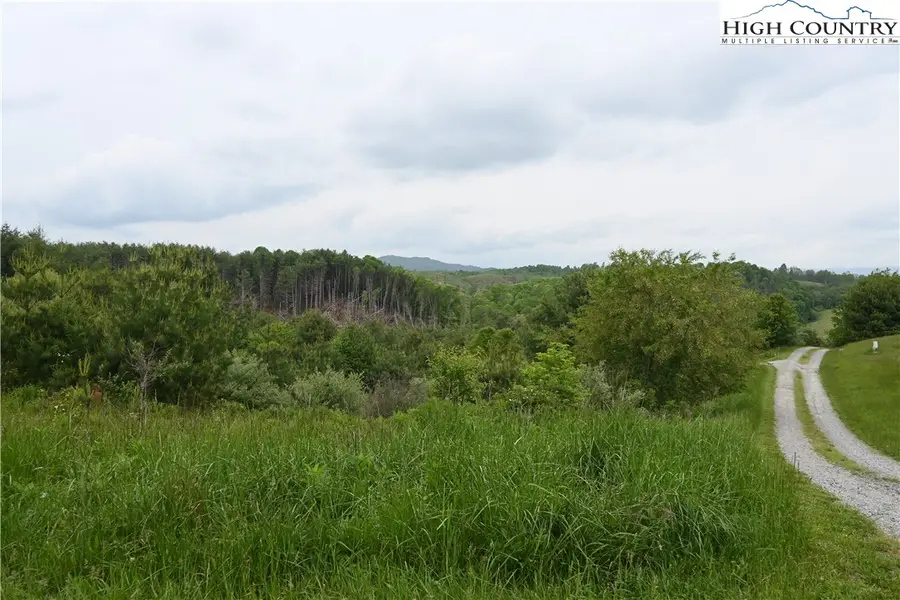 NA Tielcroft Road, Crumpler, NC 28617 - #3