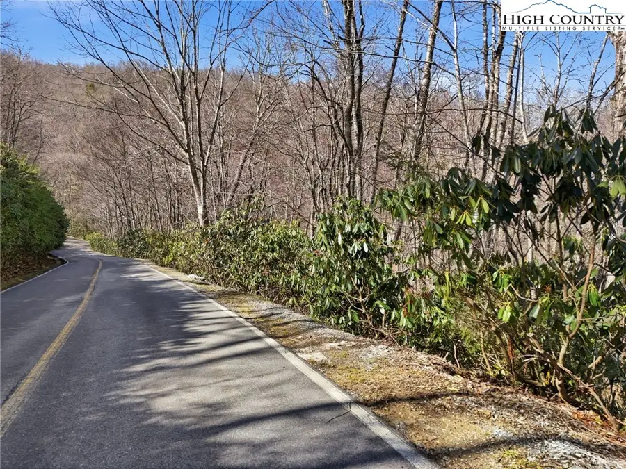 Lot 67 Bluejay Court, Banner Elk, NC 28604 - #3