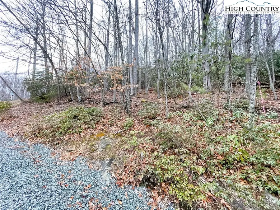 308 Poplar Drive, Beech Mountain, NC 28604 - #3