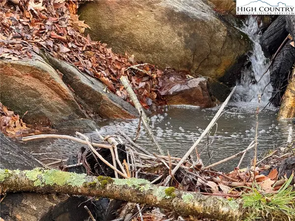 Lots 39 and 40 Snow Ridge Road, Banner Elk, NC 28604