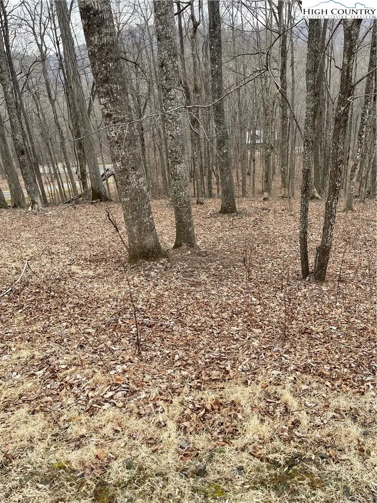 Lot #33 Elk Mountain Parkway, Todd, NC 28684 - #1