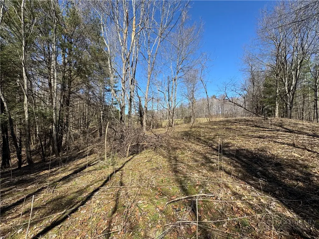 4 +/- Acres Hwy 194, Warrensville, NC 28693 - #1