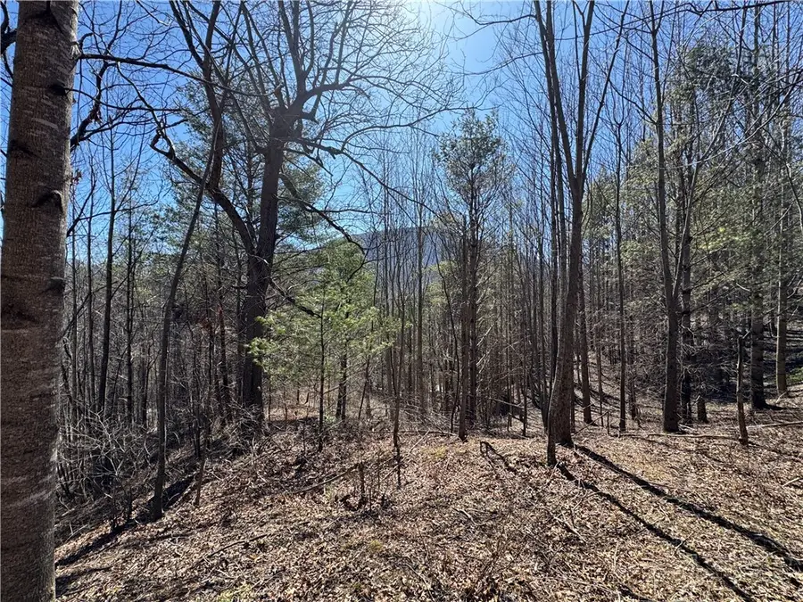 4 +/- Acres Hwy 194, Warrensville, NC 28693 - #3