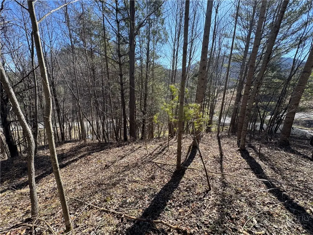 5.33 Acres Charlie King Road, Clifton, NC 28693 - #1